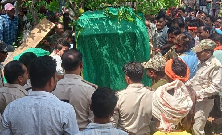 घर में घुसे तेंदुए का सफल रेस्क्यू, वन विभाग ने 10दिन में पकड़े दो तेंदुए, जानिए फिर भी क्यों दहशत में है ग्रामीण