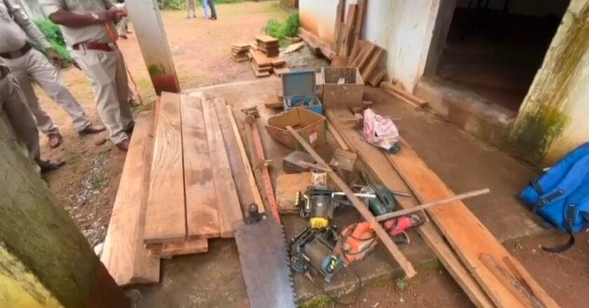 सागौन तस्करों पर वन विभाग का शिंकजा, दो दिन में तीसरी बड़ी कार्यवाही,अब इस क्षेत्र से बरामद हुई अवैध सागौन