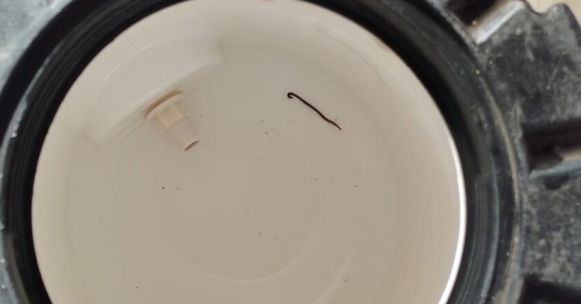 खबरदार अगर आप भी पी रहे है ये पानी, हो जाए सावधान , पानी के कैन में मिला जिंदा कीड़ा