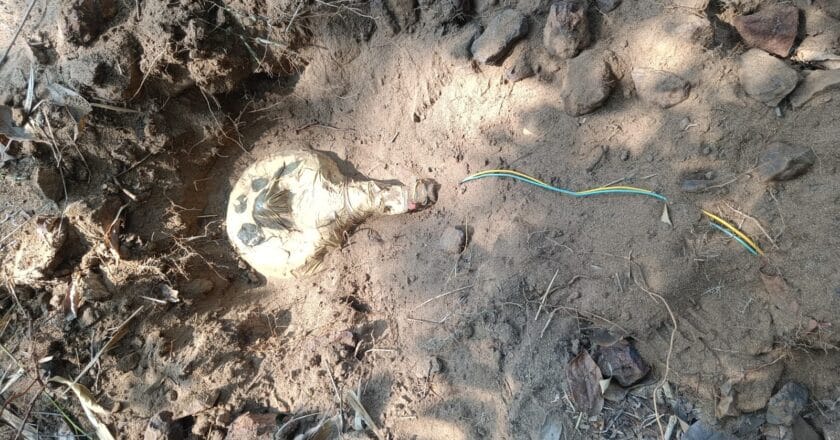 नक्सलियों की एक और  साजिश नाकाम, 9 आईईडी बरामद, ऑपरेशन तेज